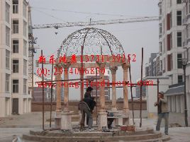 Wʽ?jng)?ľͤ Žͤ ʯͤS