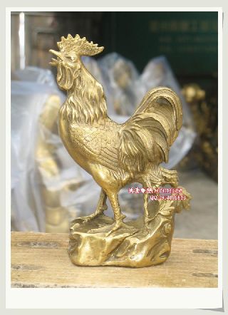 ~(dng)﹫u     (dng)~