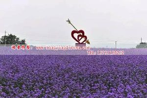 һĲP䓵@P䓵ӰǲP䓵